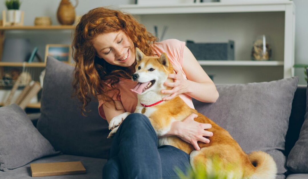 How Non‑Digestible Wellness Practices Are Shaping Happy Pets